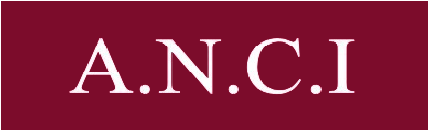A.N.C.I. Logo