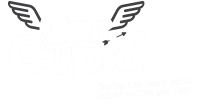 Car Cupid Logo